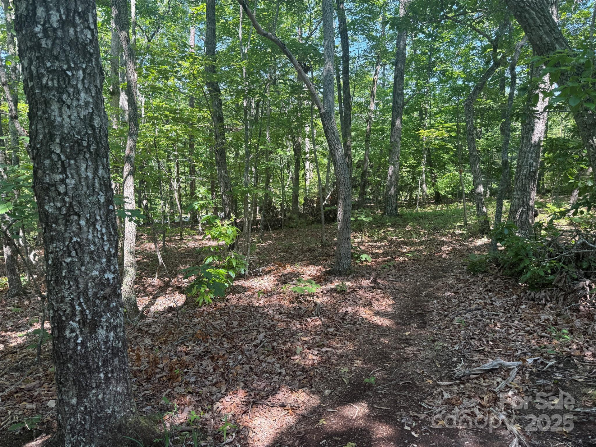 0 Crescent Ridge Lane #373 - Photo 9