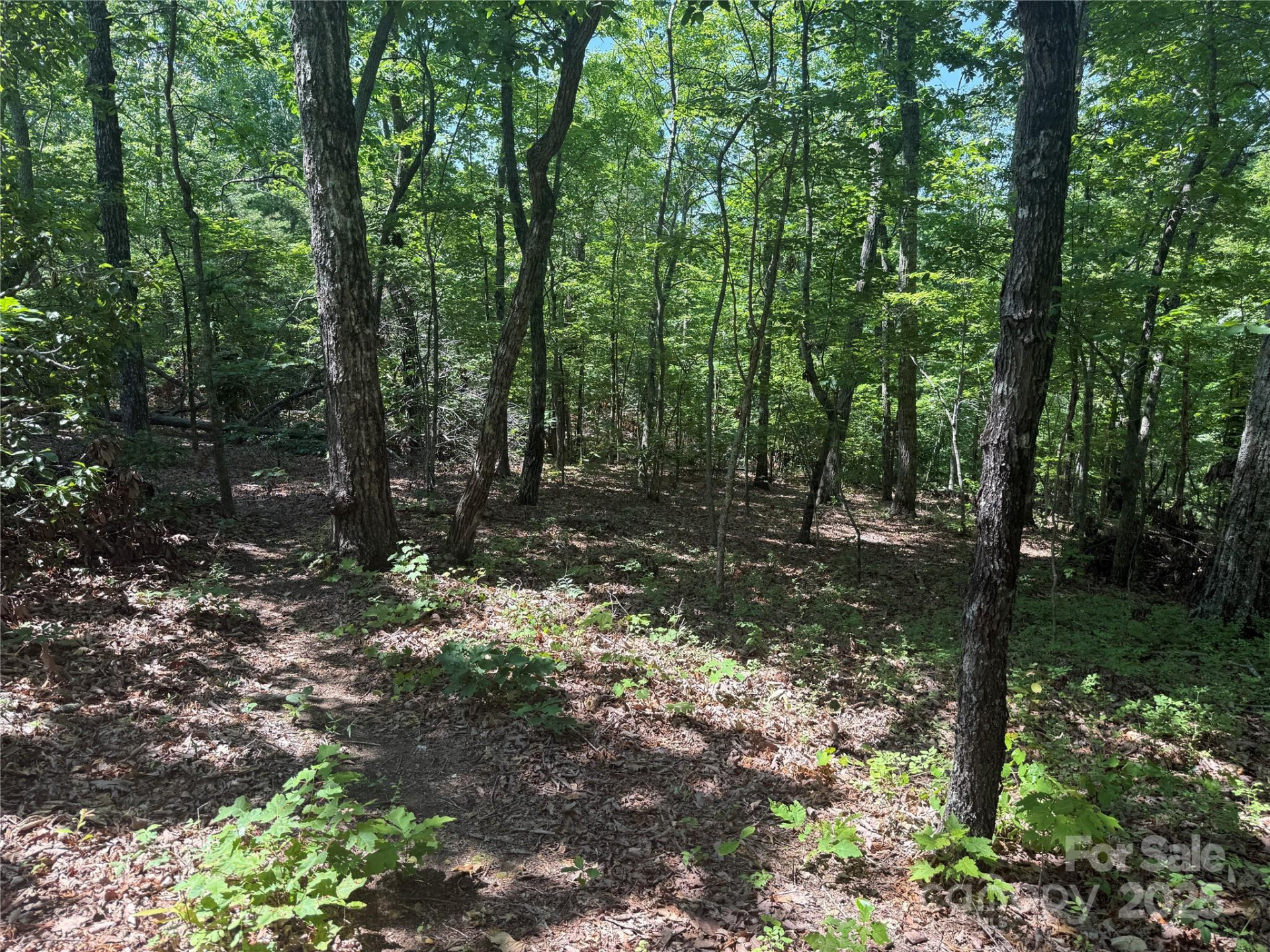 0 Crescent Ridge Lane #373 - Photo 10