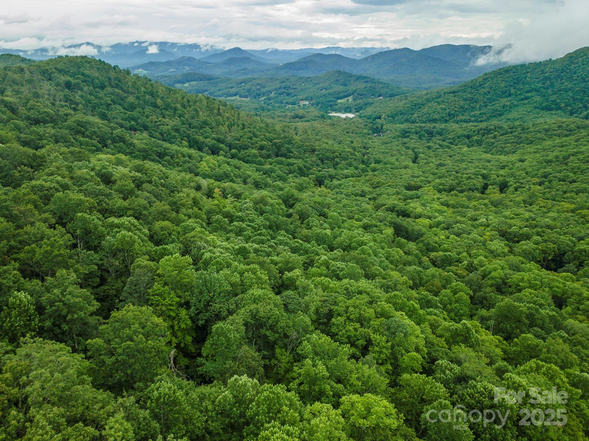 25 Hickory Springs Road #25 - Photo 2