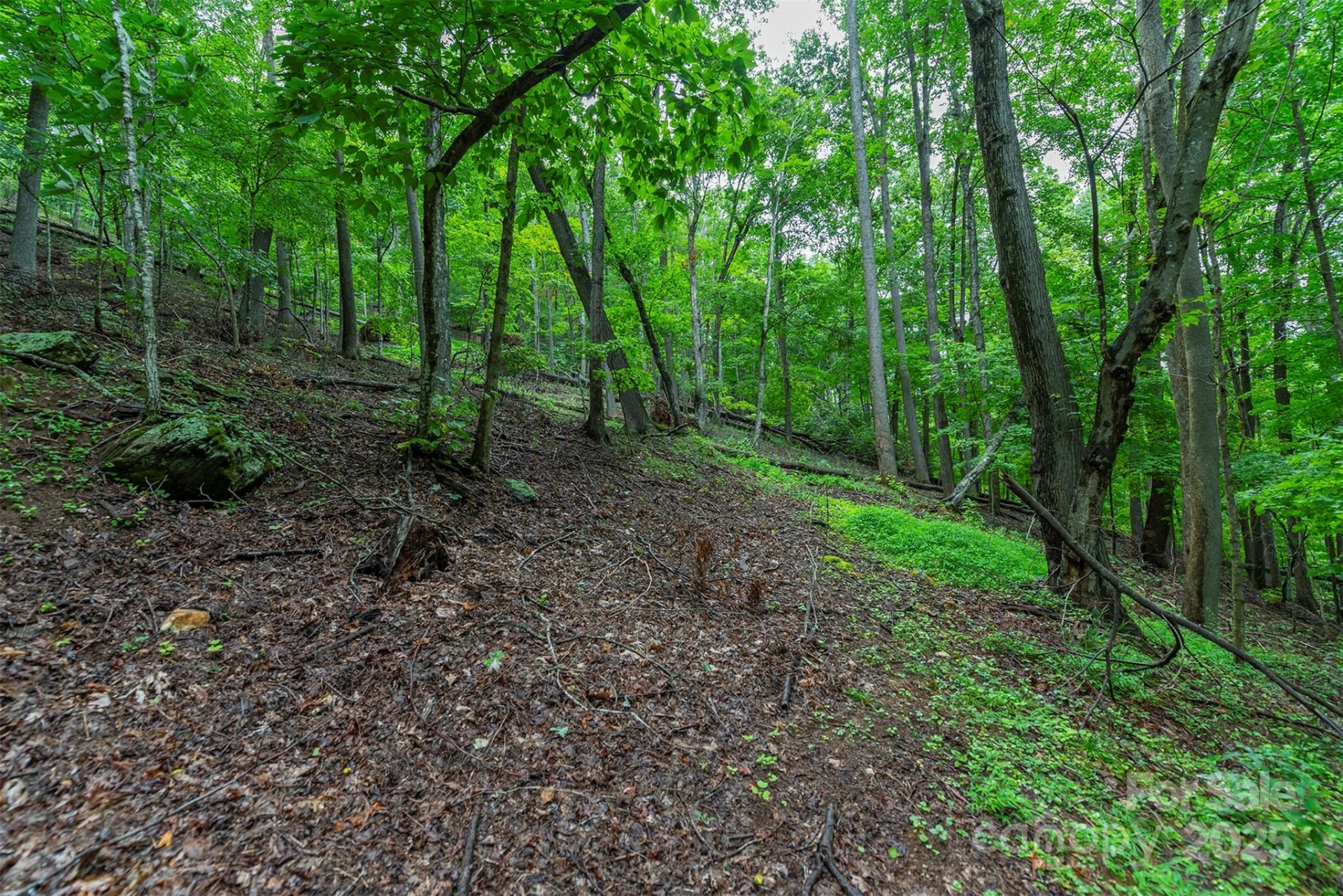 25 Hickory Springs Road #25 - Photo 11