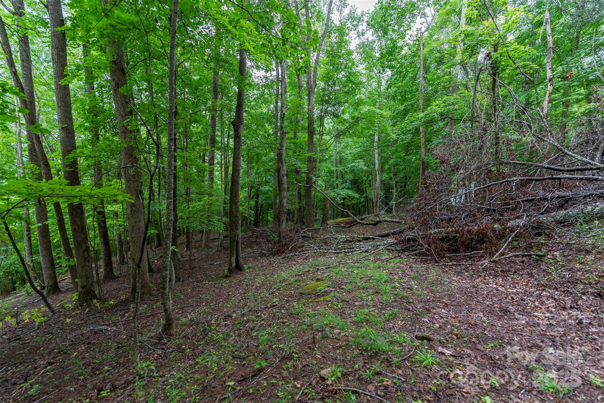 25 Hickory Springs Road #25 - Photo 14