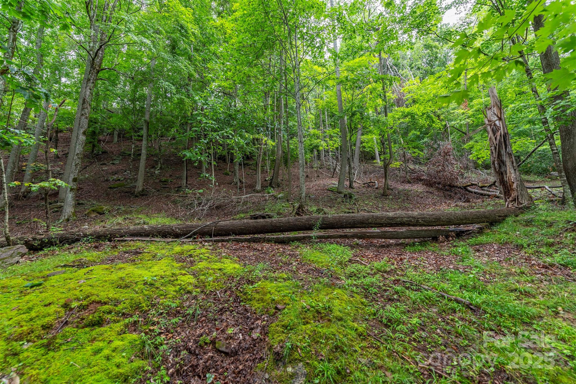 25 Hickory Springs Road #25 - Photo 15