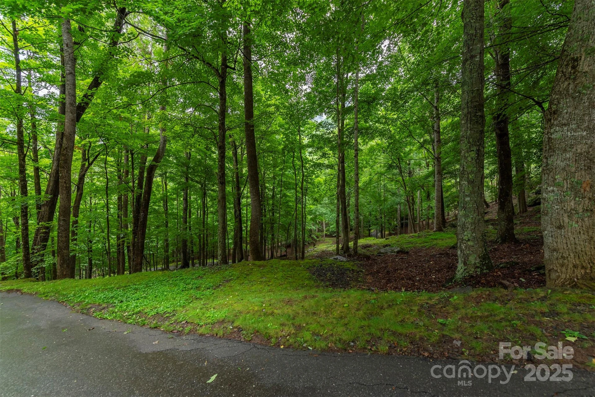 25 Hickory Springs Road #25 - Photo 16
