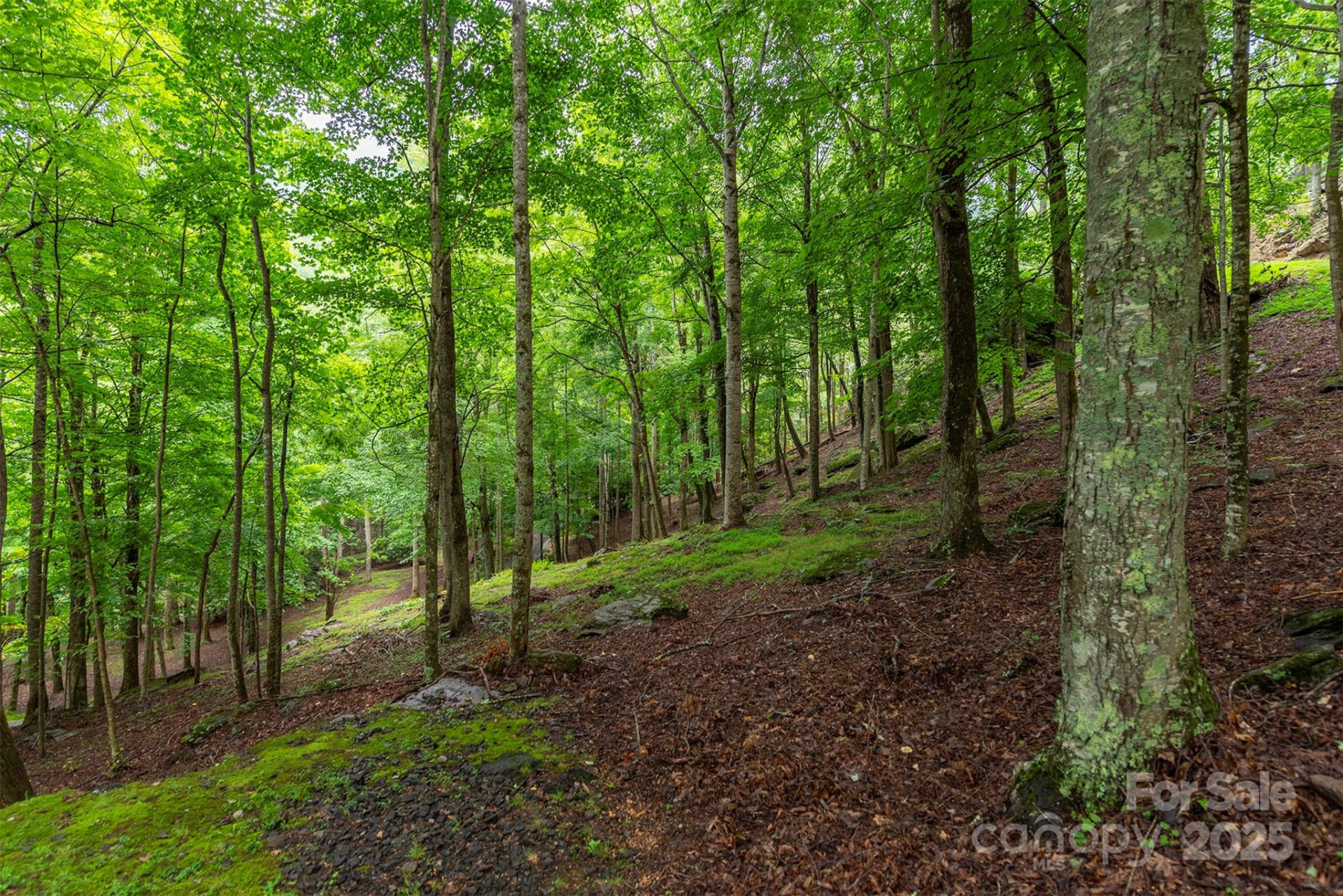 25 Hickory Springs Road #25 - Photo 17