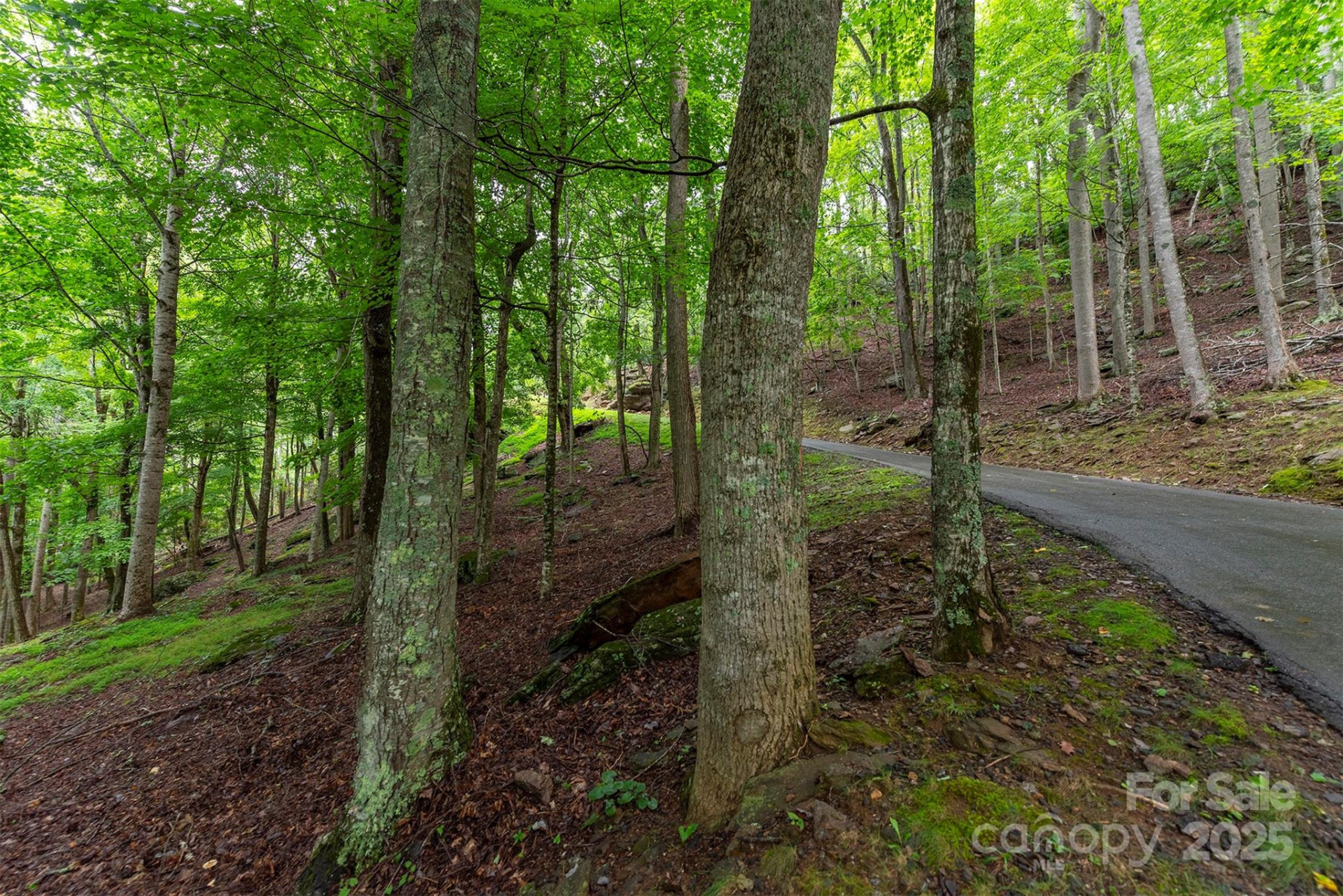 25 Hickory Springs Road #25 - Photo 18