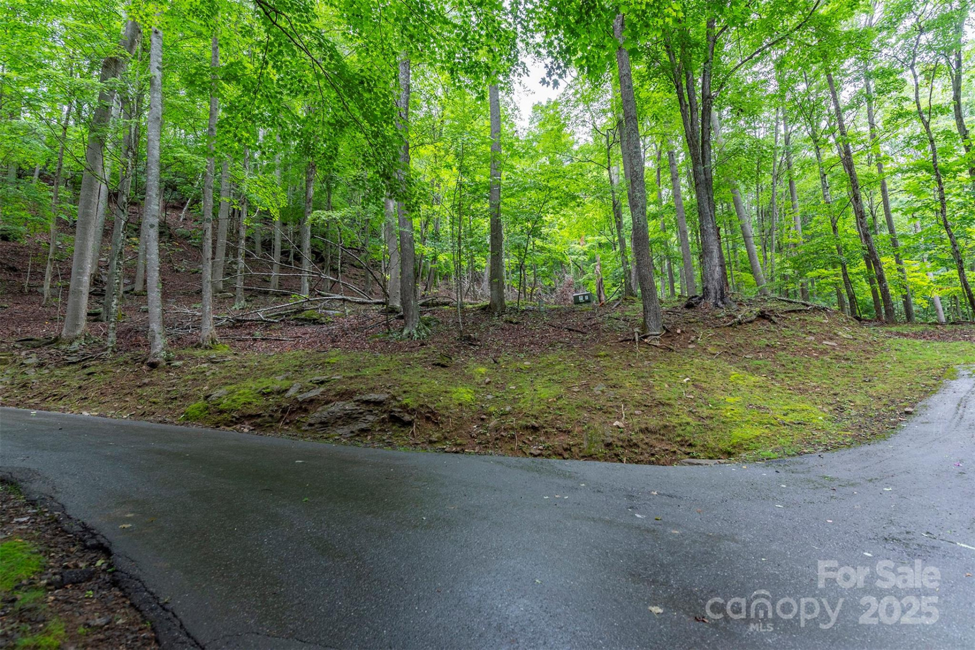 25 Hickory Springs Road #25 - Photo 19