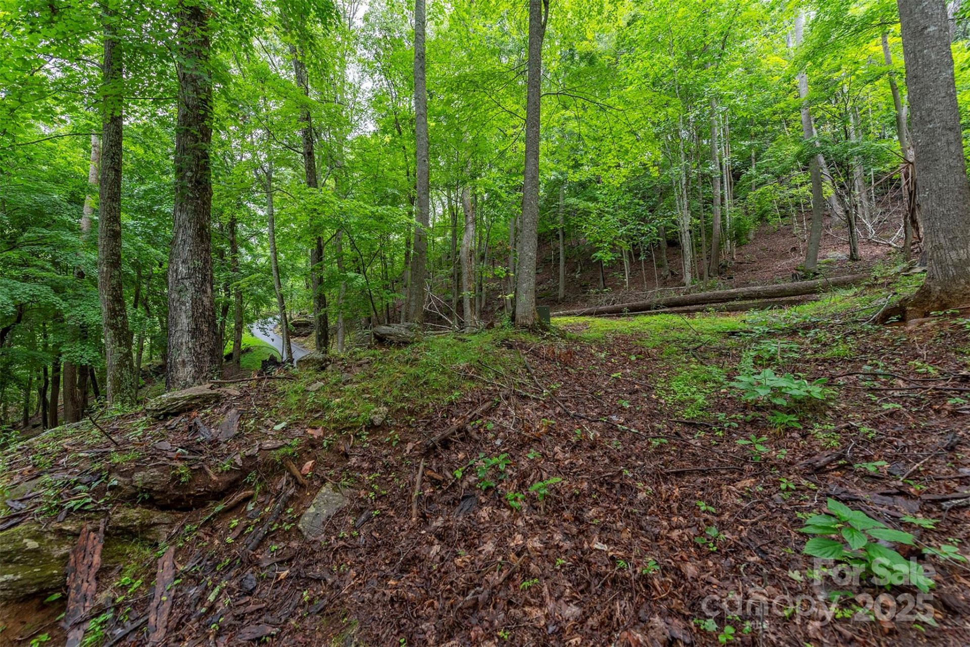 25 Hickory Springs Road #25 - Photo 3