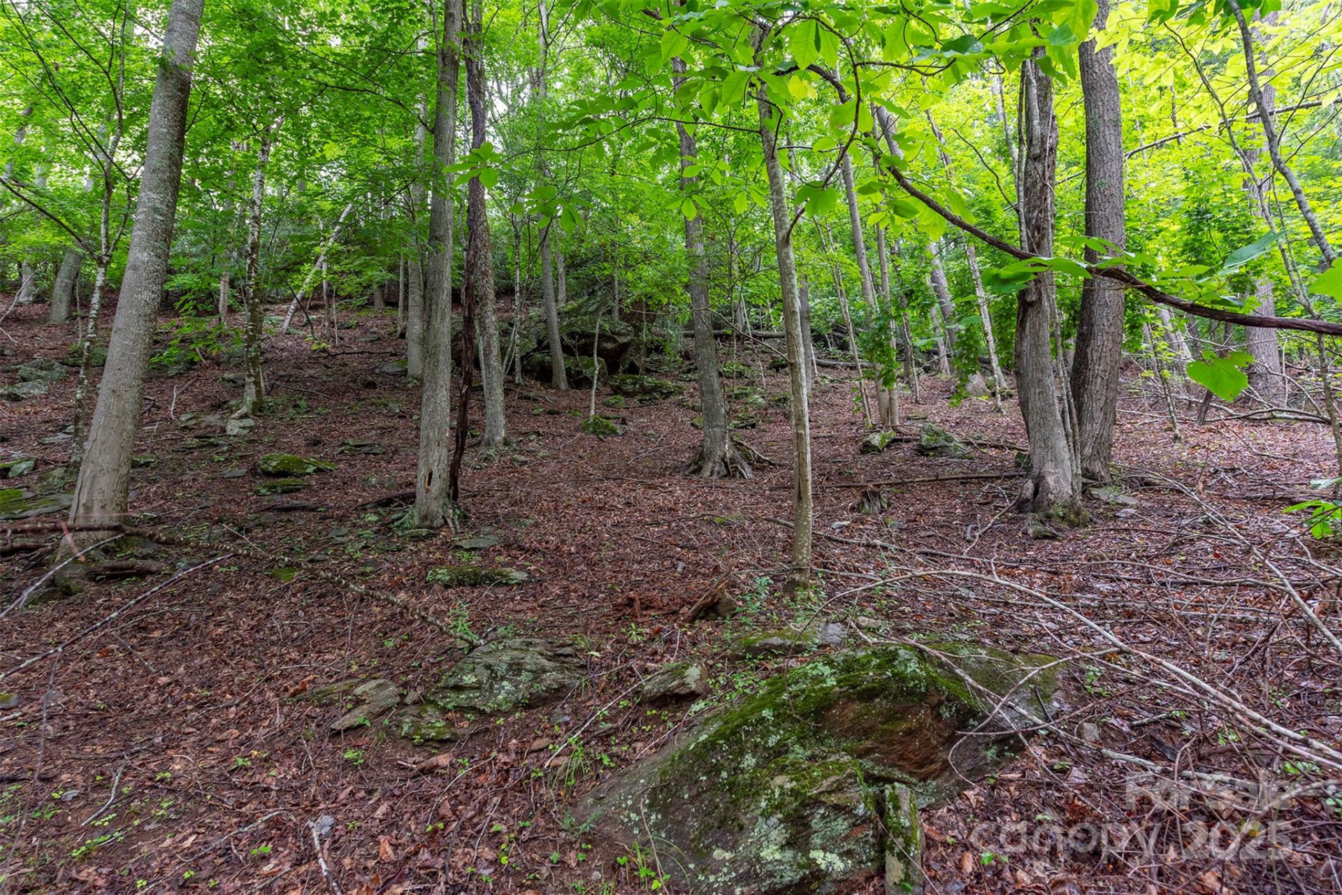 25 Hickory Springs Road #25 - Photo 5