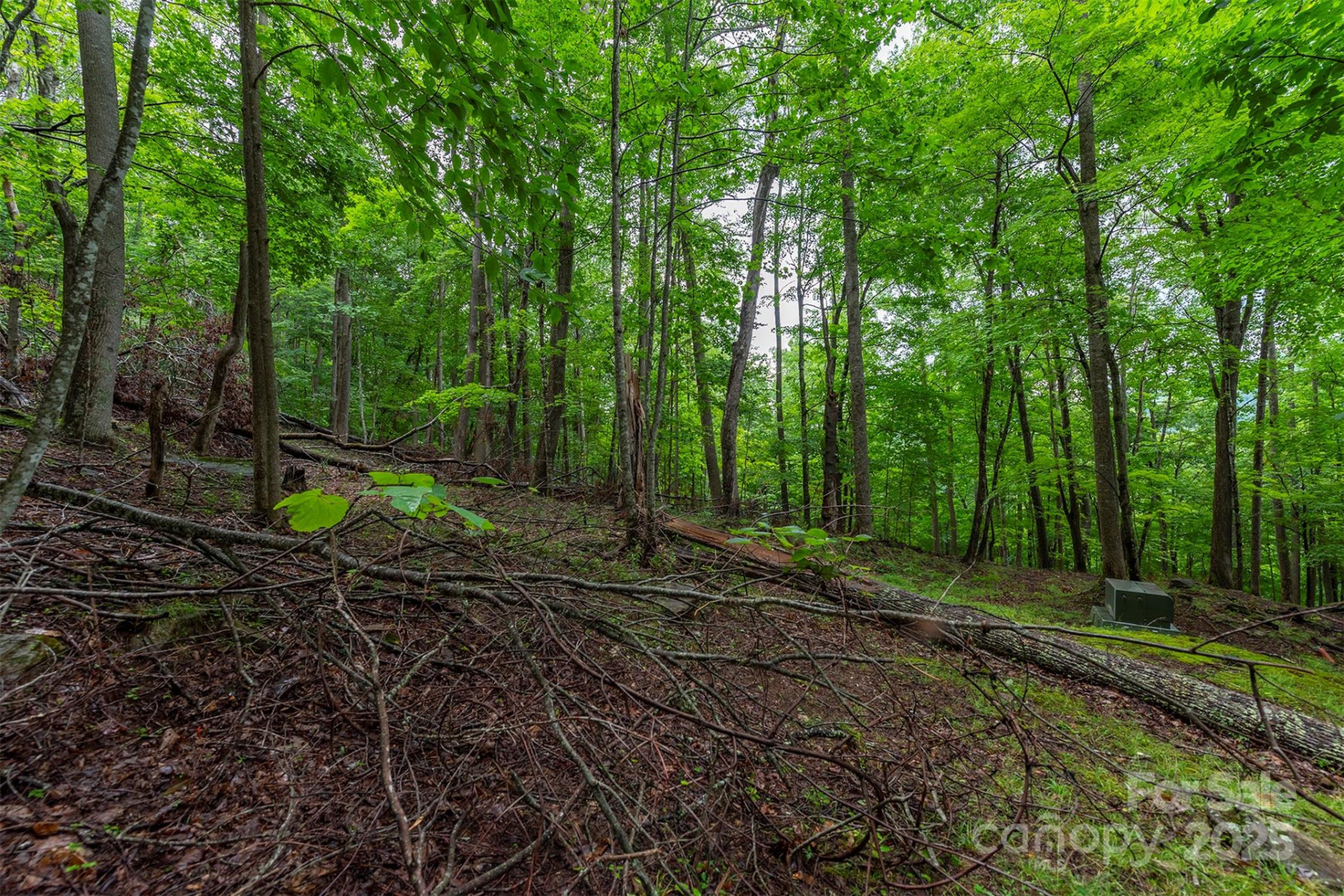 25 Hickory Springs Road #25 - Photo 6