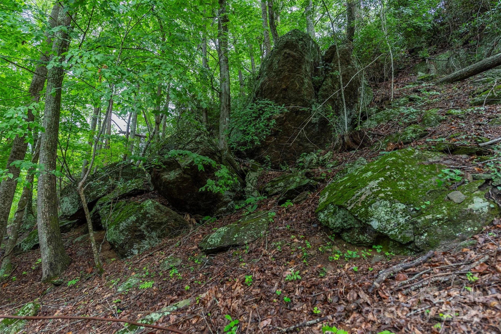 25 Hickory Springs Road #25 - Photo 7