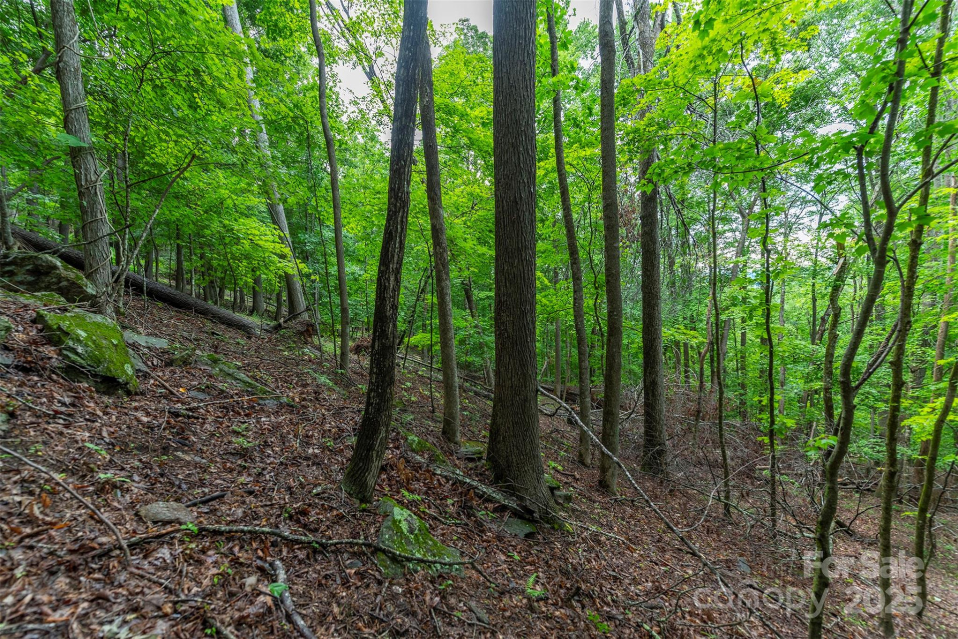 25 Hickory Springs Road #25 - Photo 8