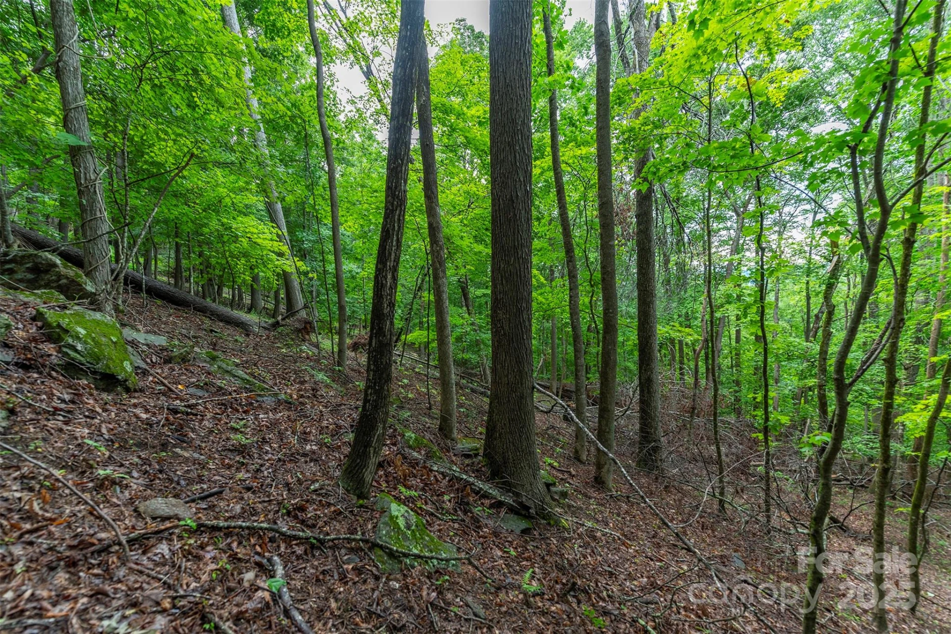 25 Hickory Springs Road #25 - Photo 8