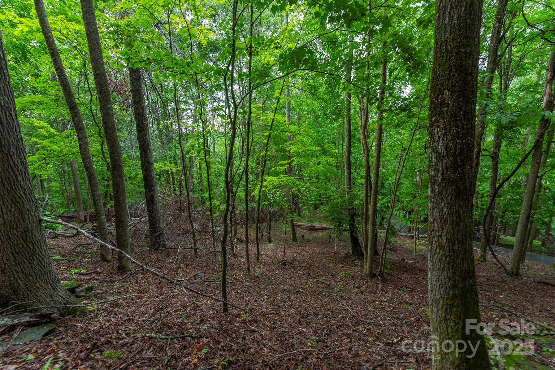 25 Hickory Springs Road #25 - Photo 9