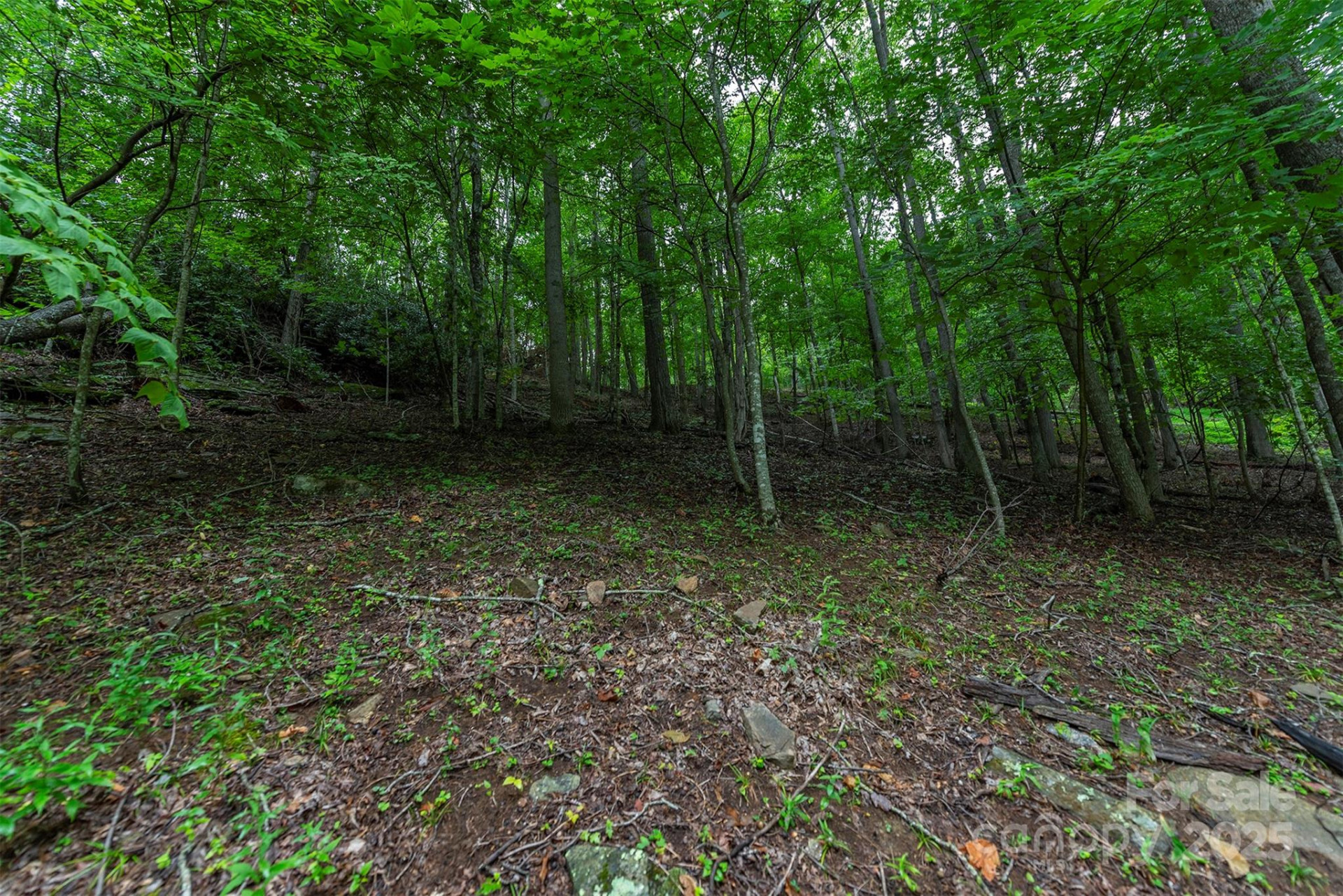 25 Hickory Springs Road #25 - Photo 10