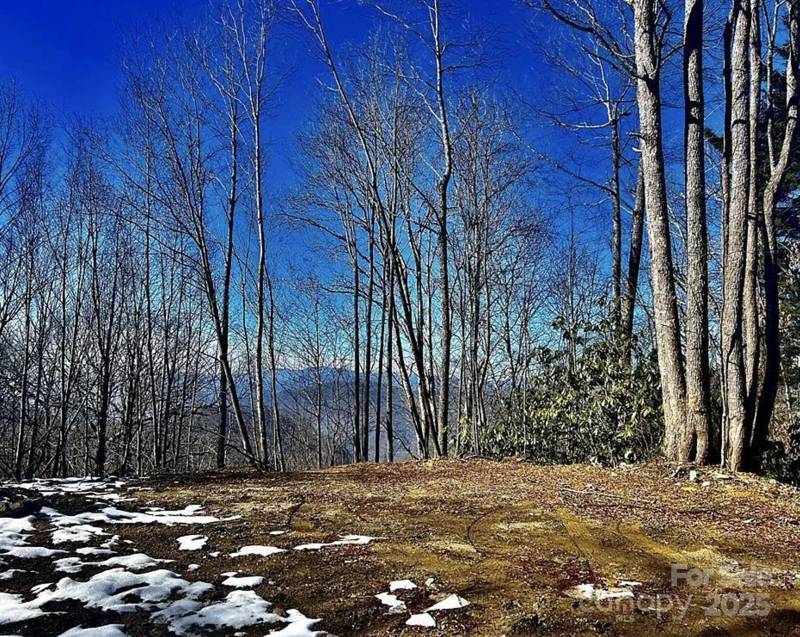 3689 Plott Balsam Road - Photo 2