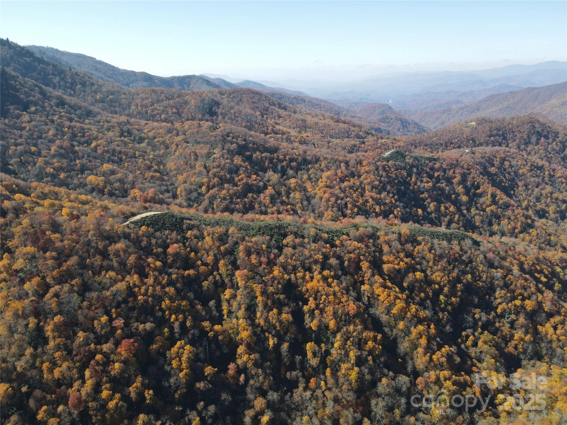 3689 Plott Balsam Road - Photo 21