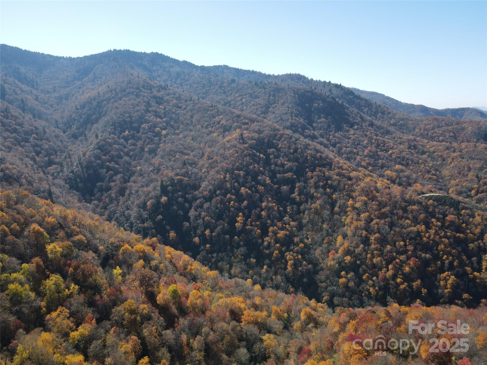 3689 Plott Balsam Road - Photo 22