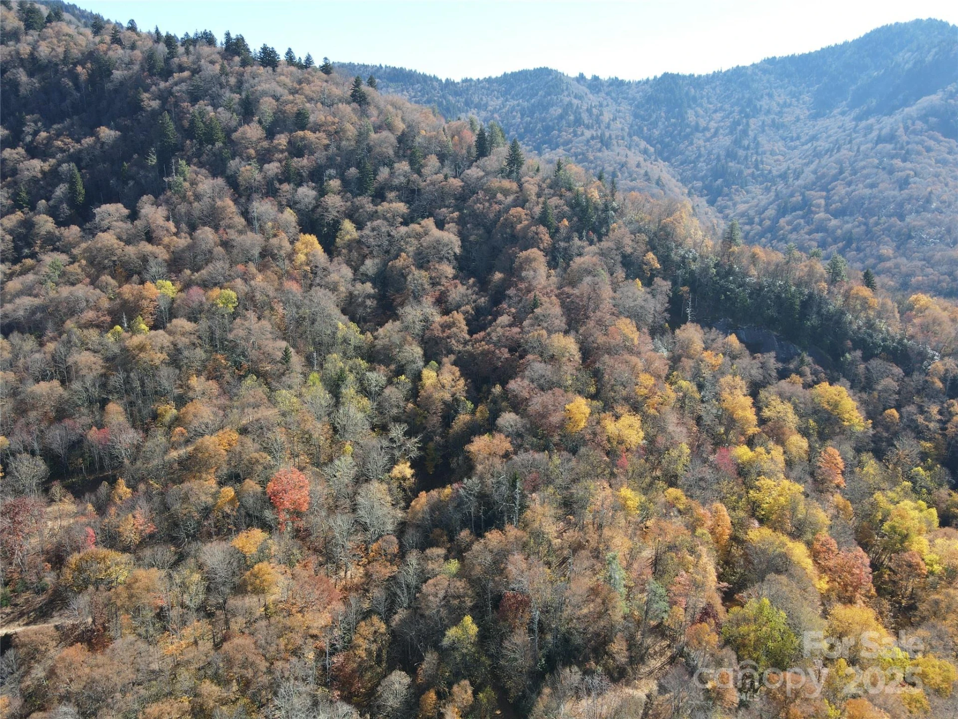 3689 Plott Balsam Road - Photo 23