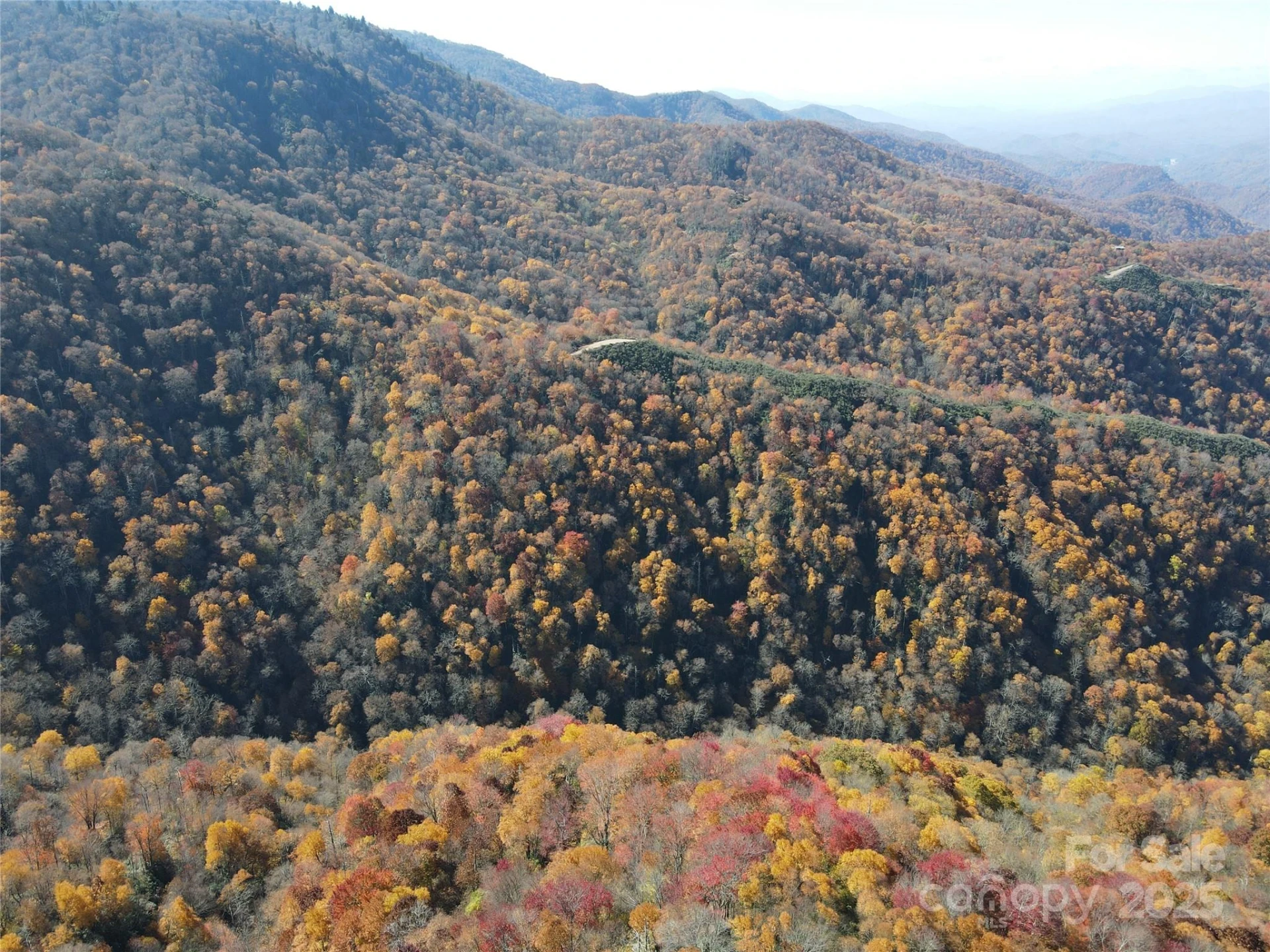 3689 Plott Balsam Road - Photo 24