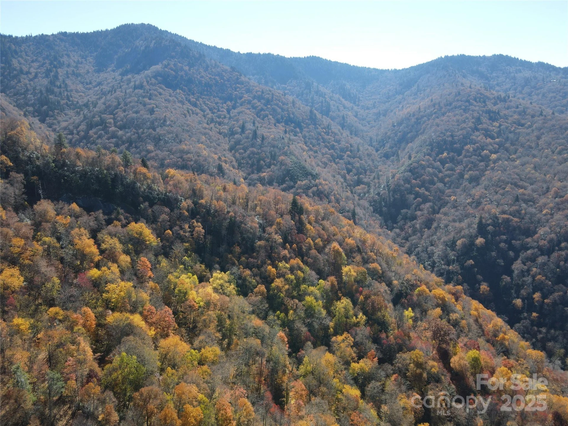 3689 Plott Balsam Road - Photo 26