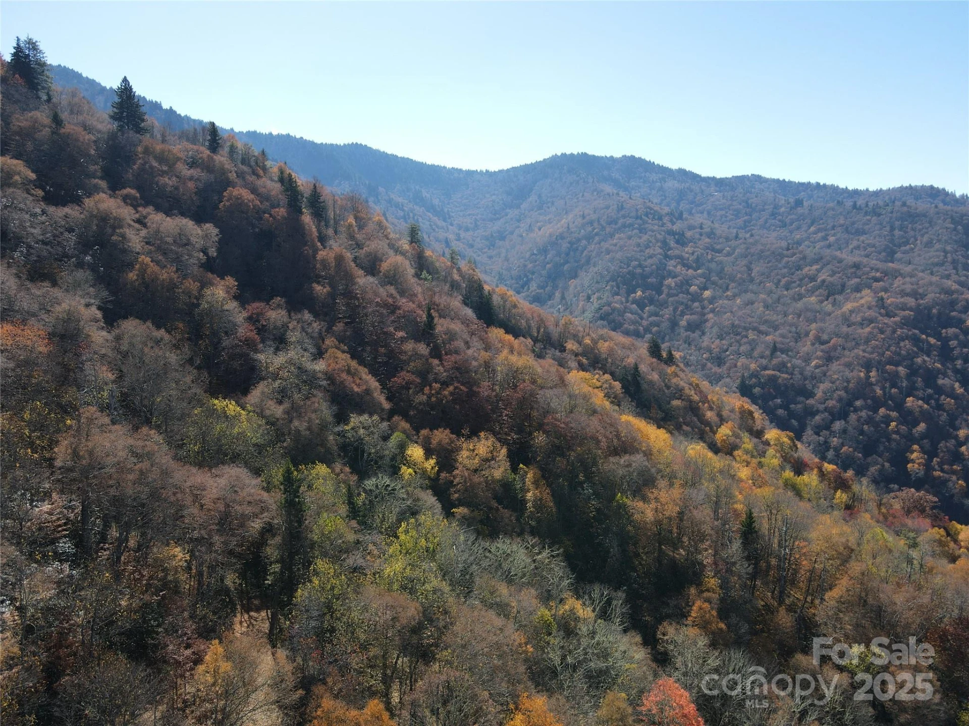 3689 Plott Balsam Road - Photo 27