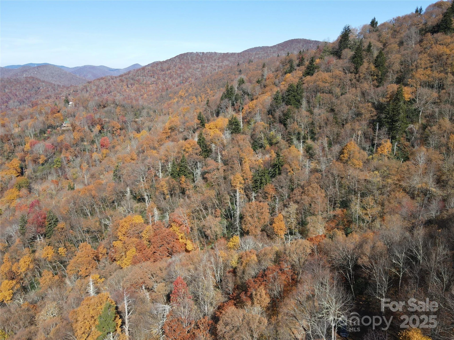 3689 Plott Balsam Road - Photo 30