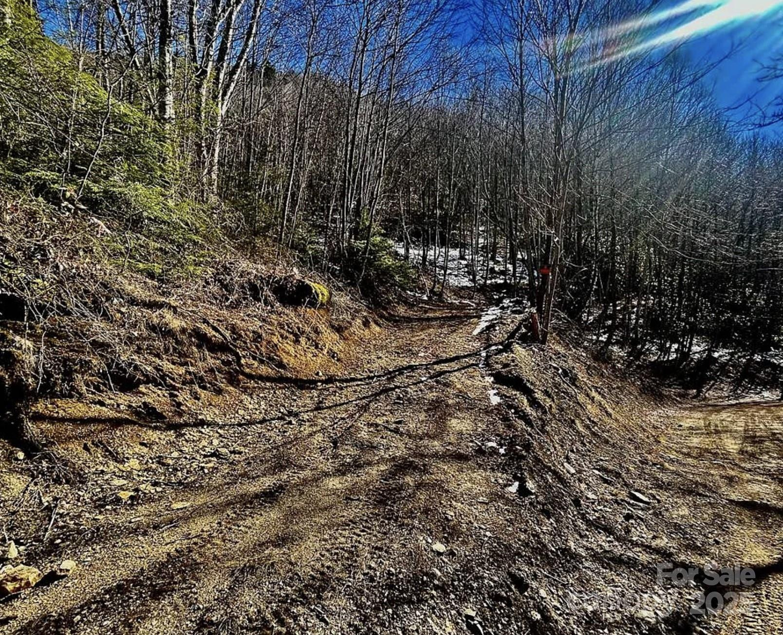 3689 Plott Balsam Road - Photo 4