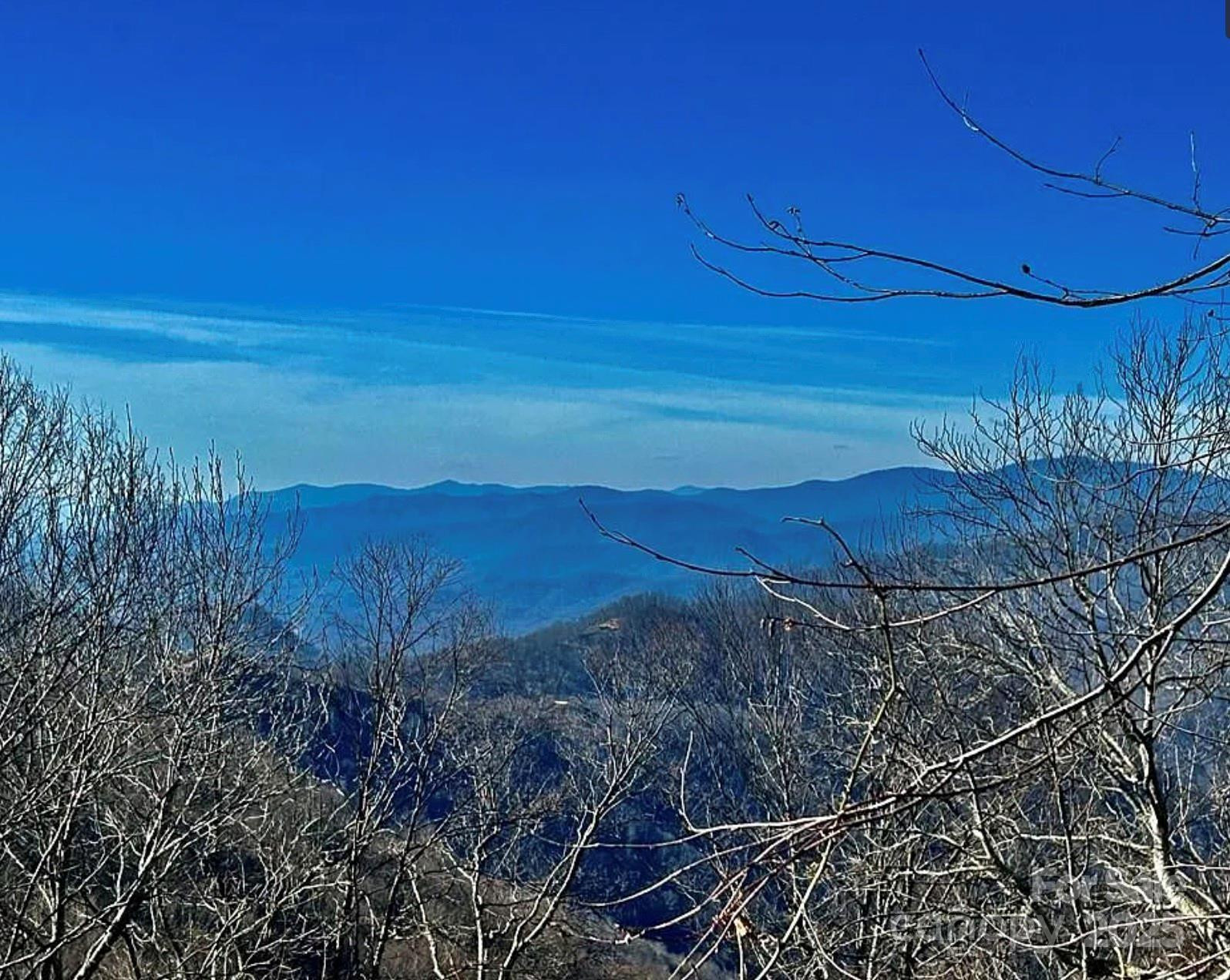 3689 Plott Balsam Road - Photo 31