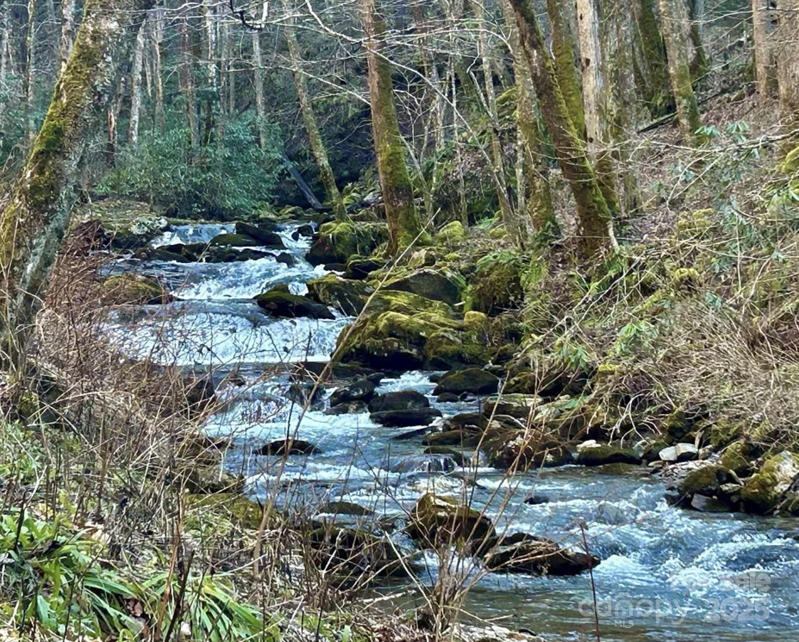 3689 Plott Balsam Road - Photo 32