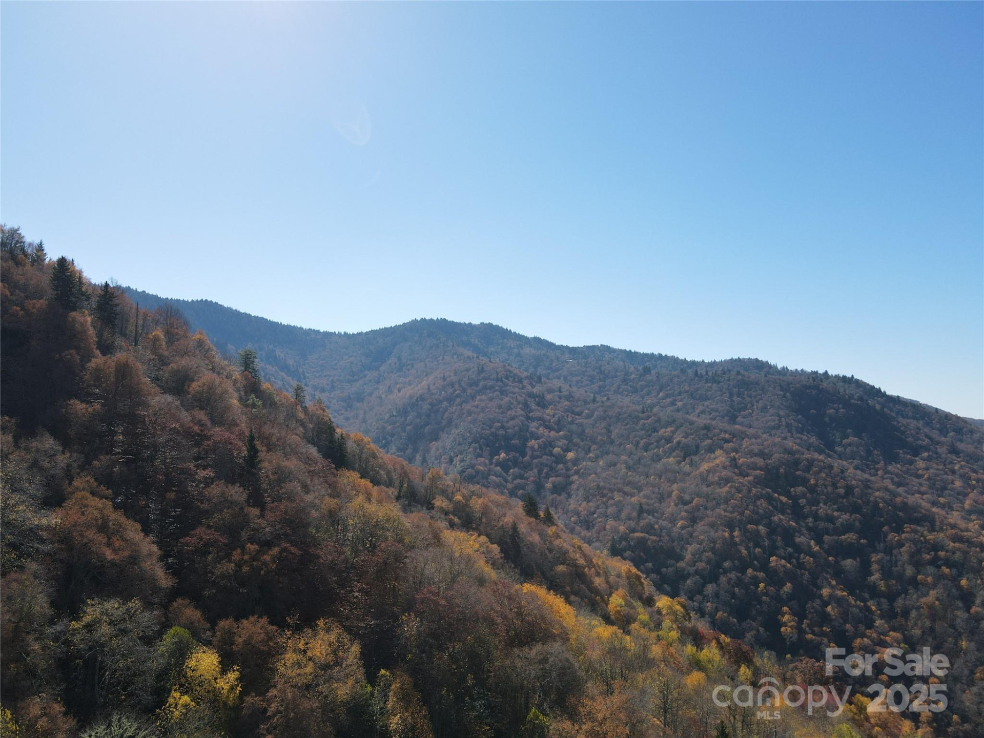 3689 Plott Balsam Road - Photo 6