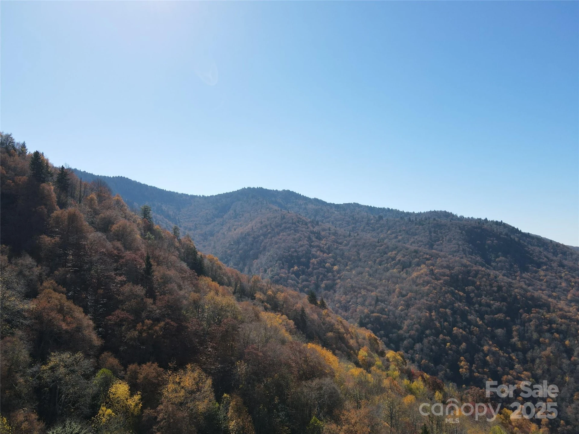 3689 Plott Balsam Road - Photo 6