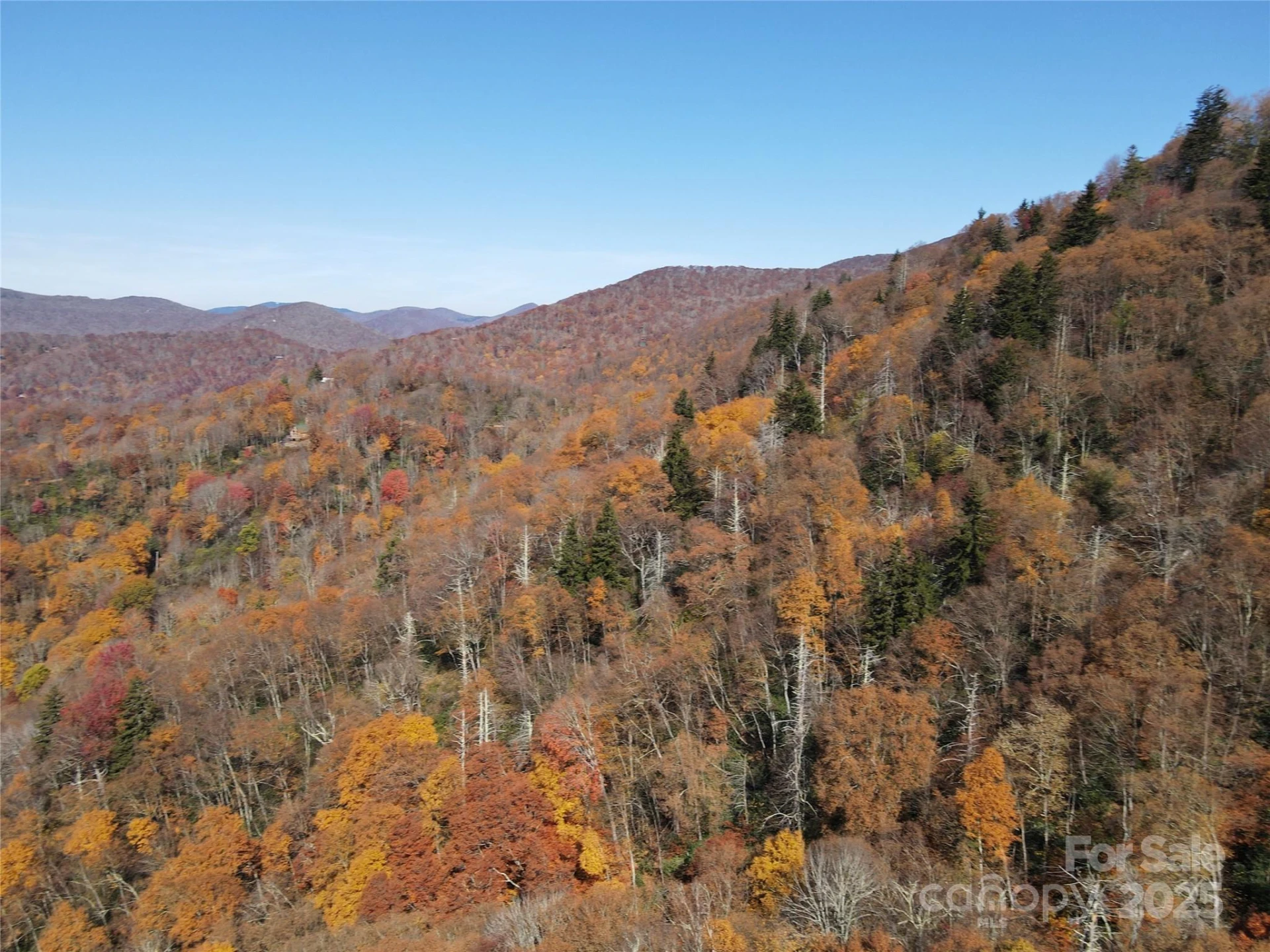3689 Plott Balsam Road - Photo 7