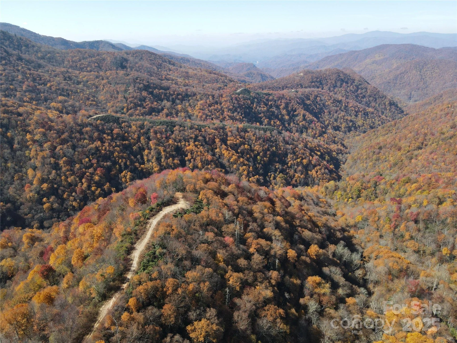 3689 Plott Balsam Road - Photo 8