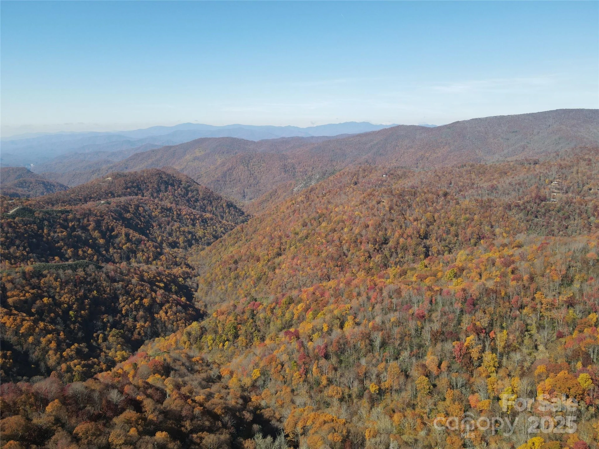 3689 Plott Balsam Road - Photo 10