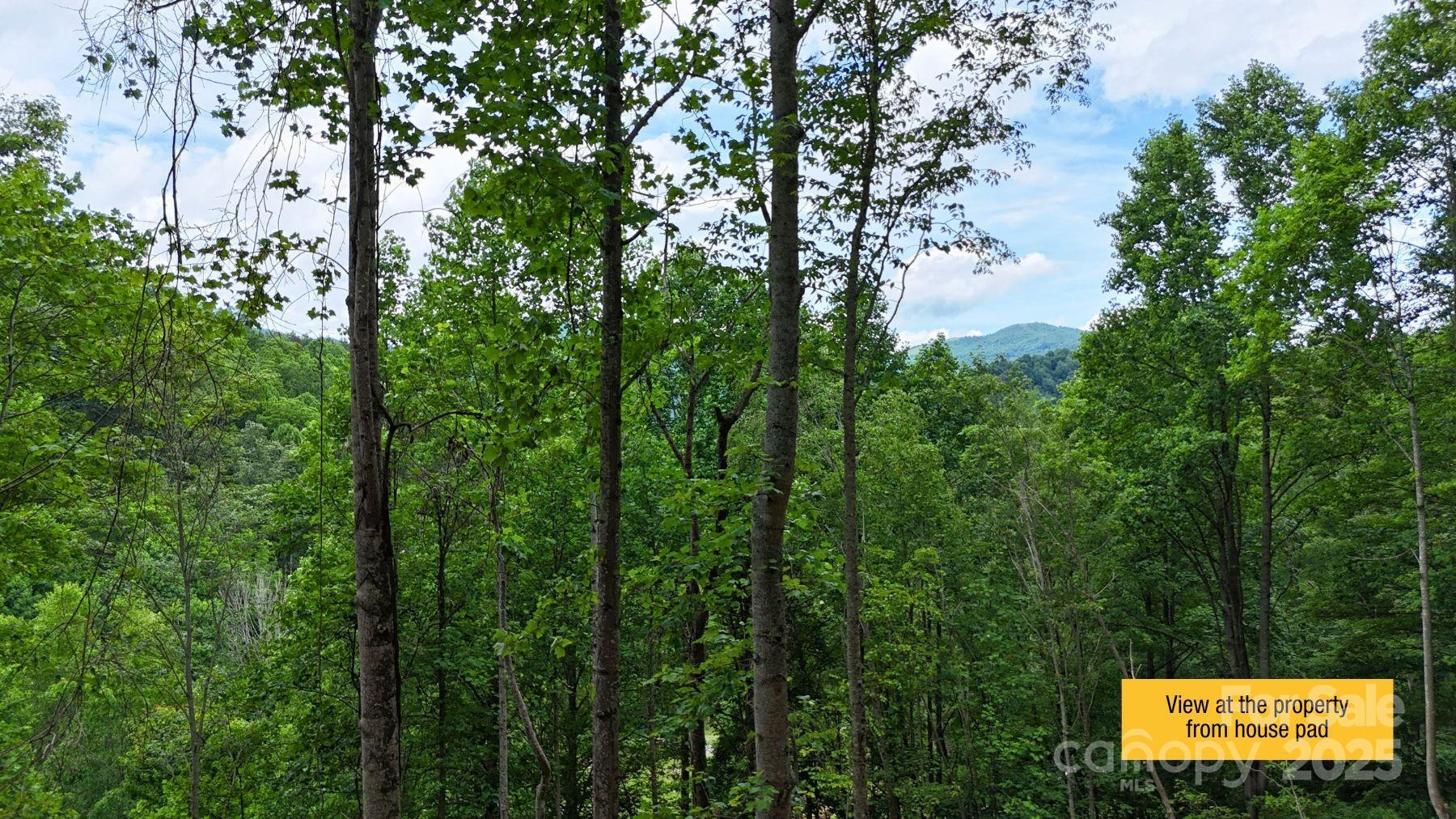 0000 Wayward Cove #18 - Photo 3