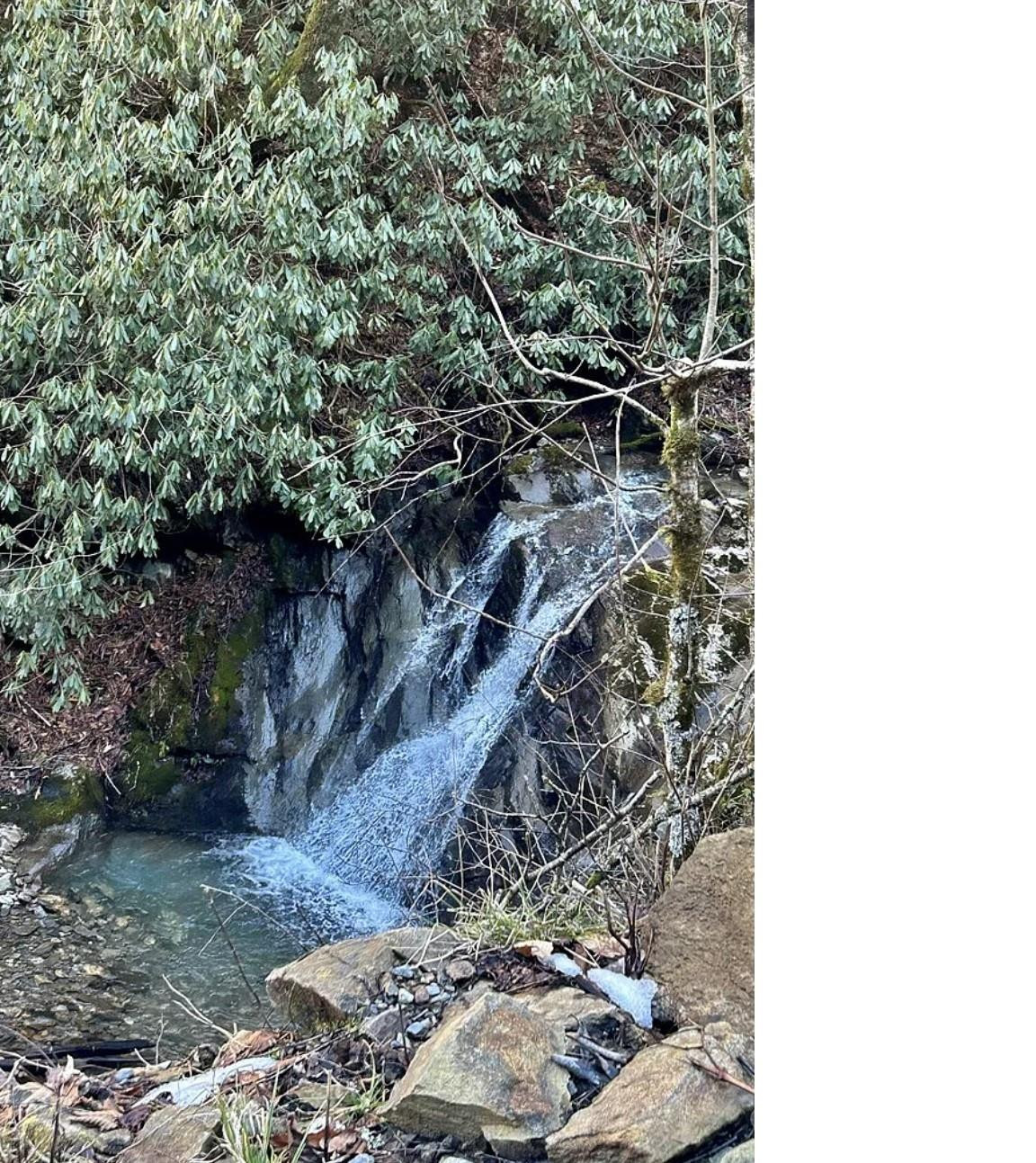 3837 Plott Balsam Road #58 - Photo 34