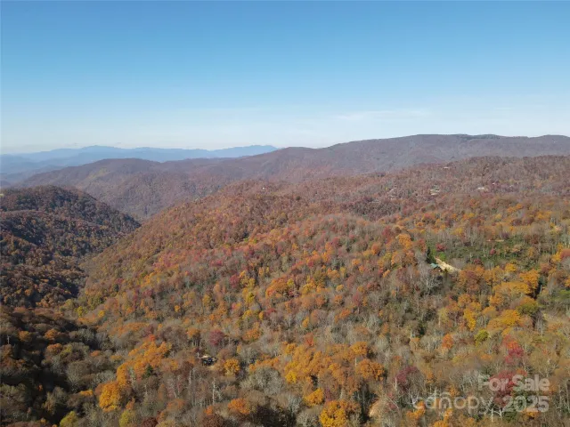 3837 & 3689 Plott Balsam Road
