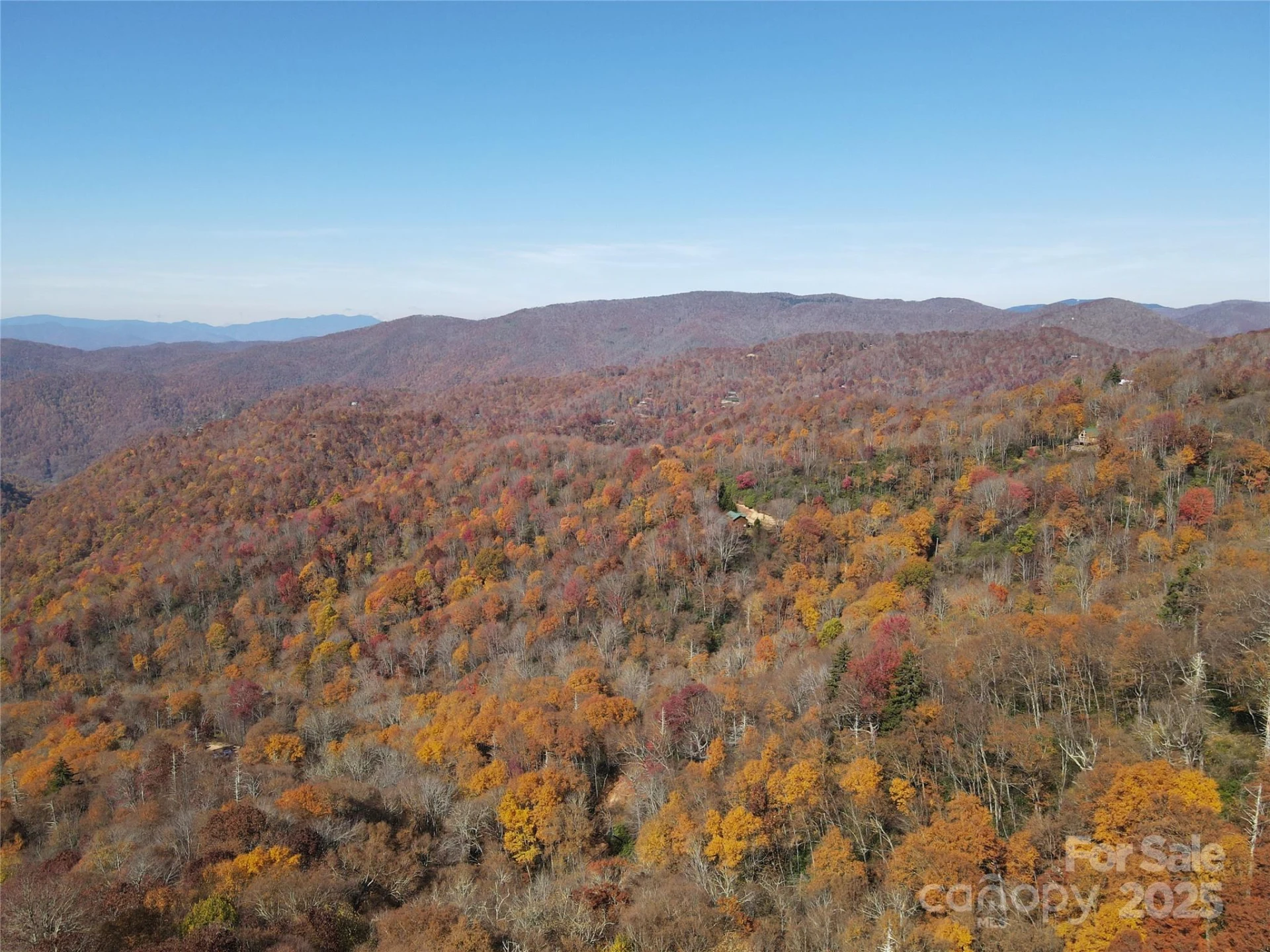 3837 & 3689 Plott Balsam Road - Photo 11