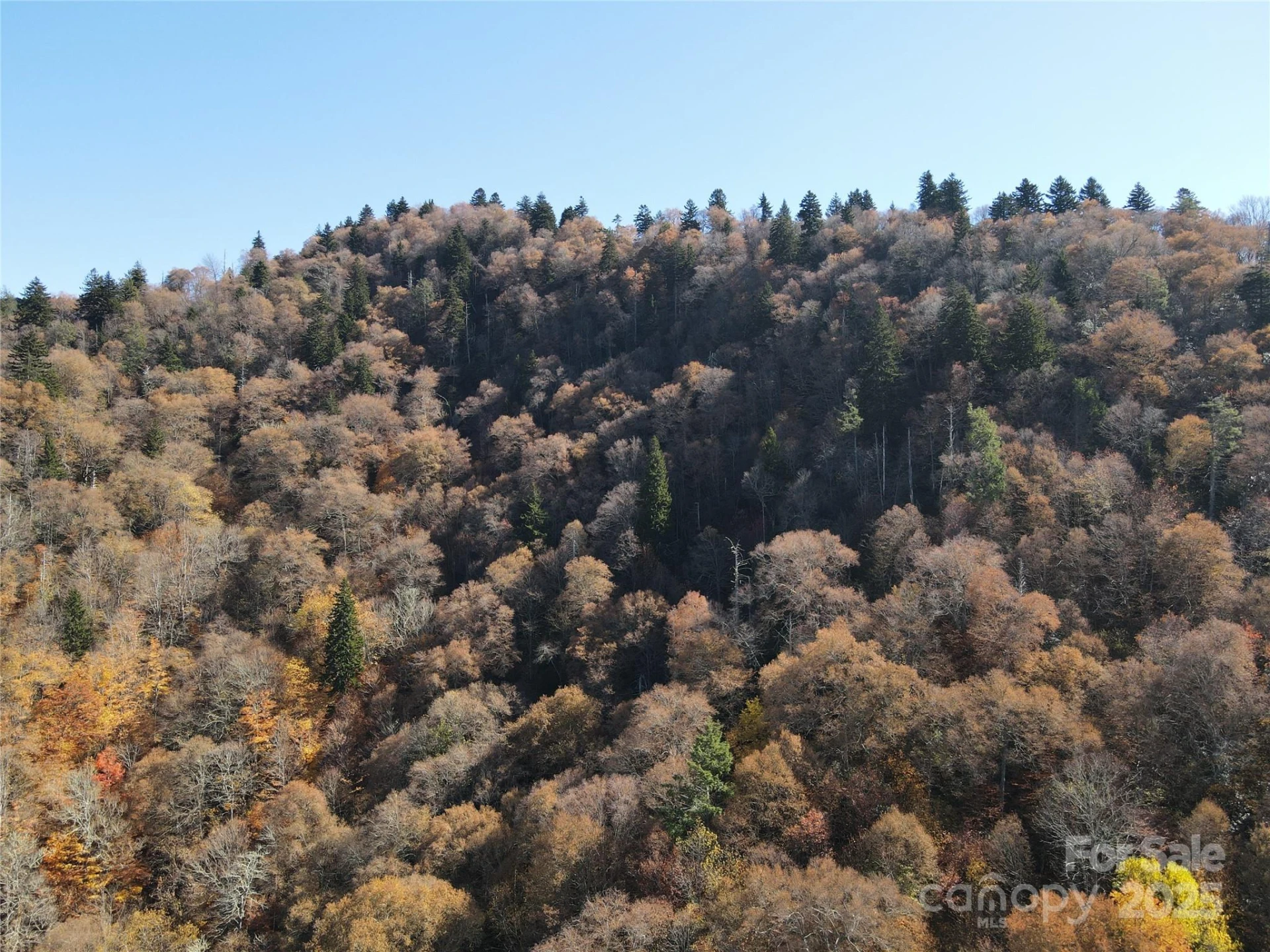 3837 & 3689 Plott Balsam Road - Photo 12