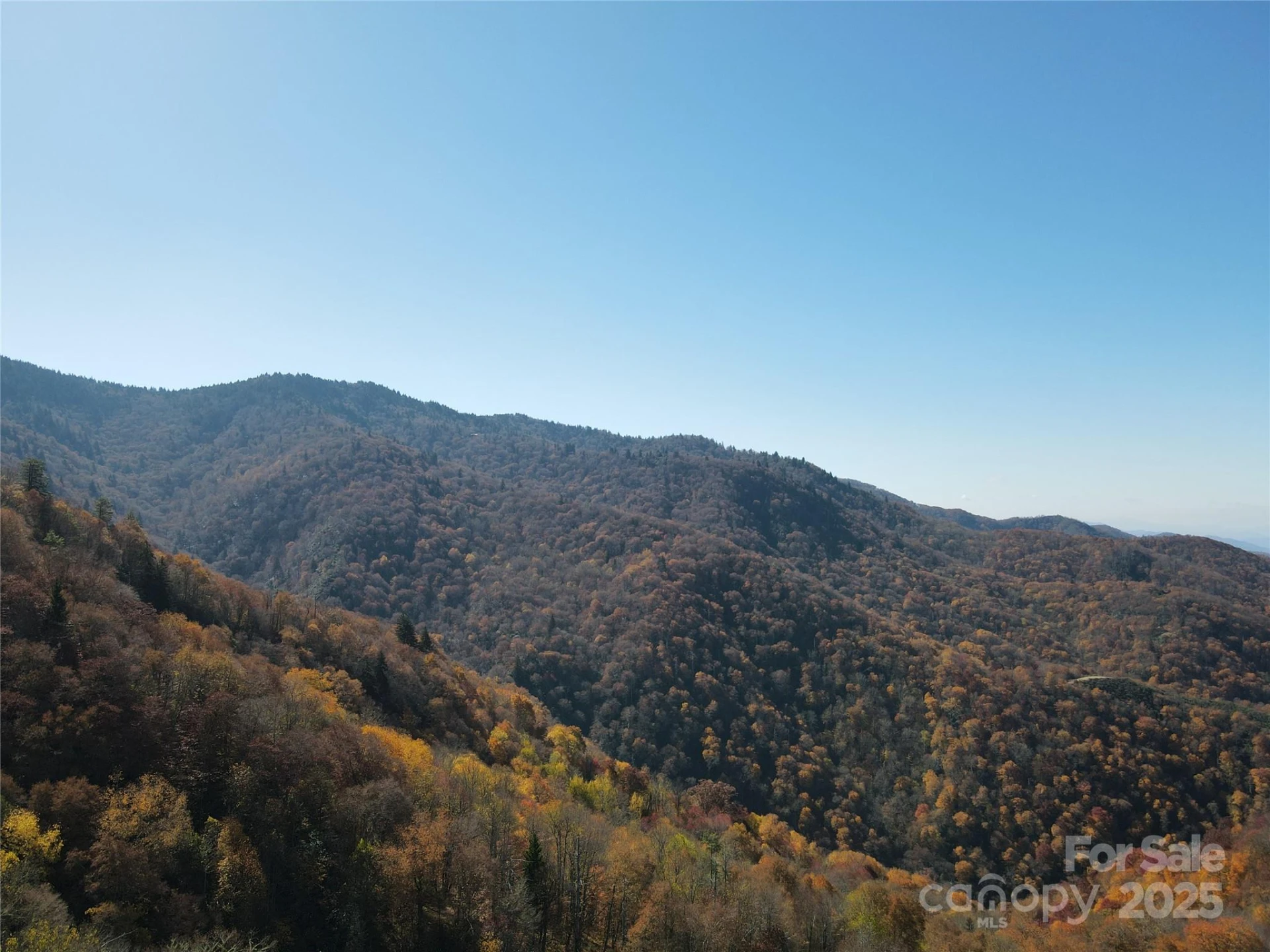 3837 & 3689 Plott Balsam Road - Photo 15
