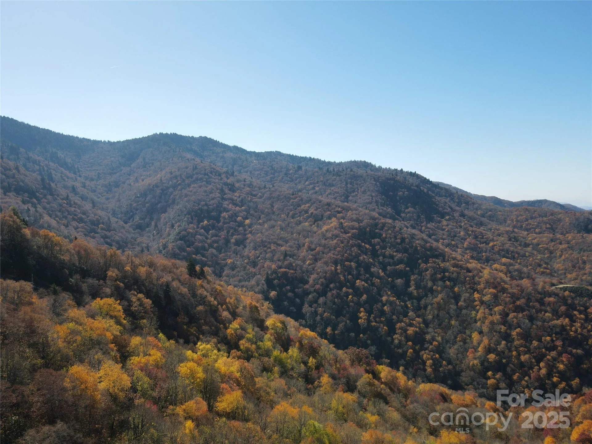 3837 & 3689 Plott Balsam Road - Photo 17