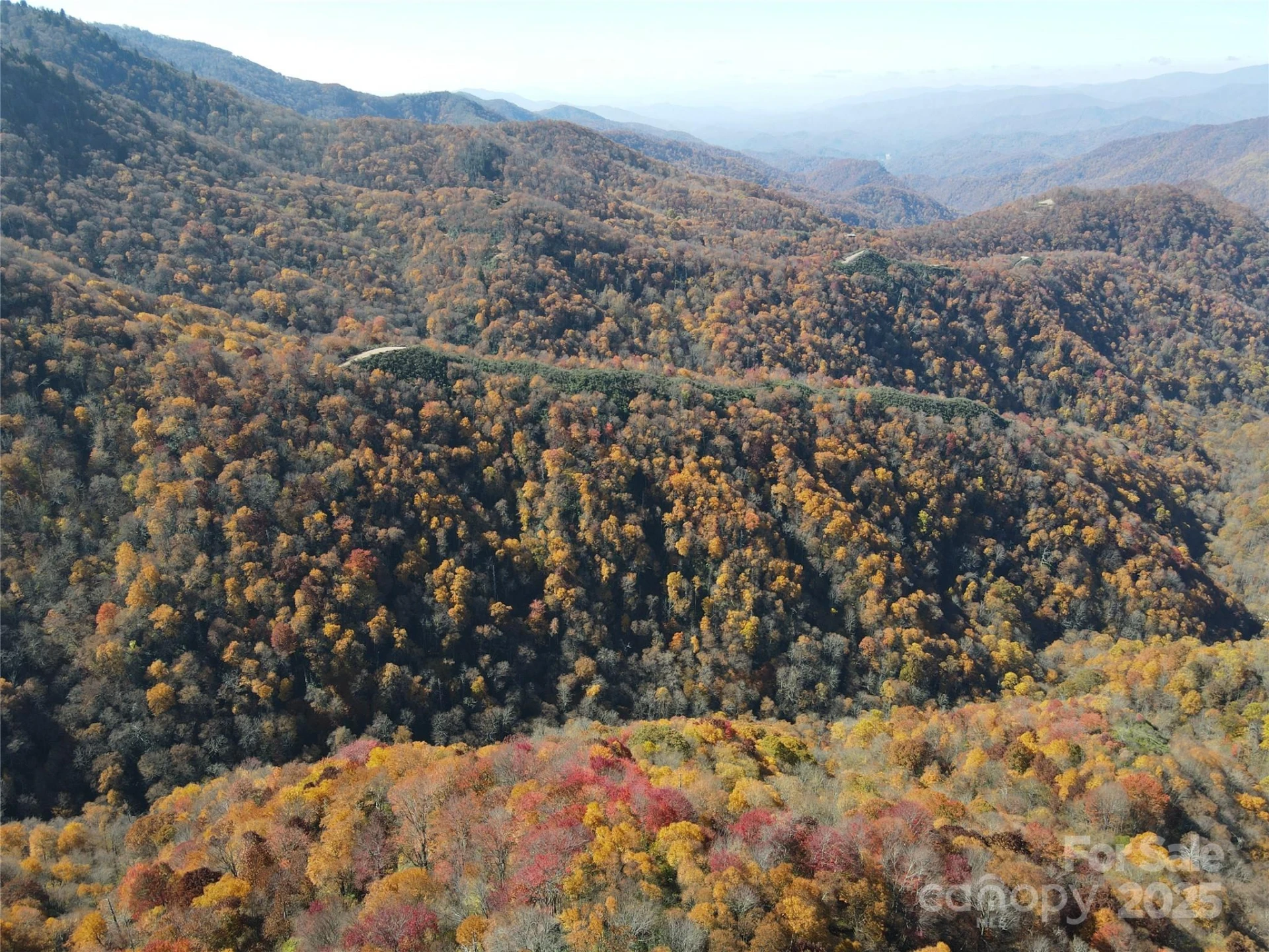 3837 & 3689 Plott Balsam Road - Photo 24