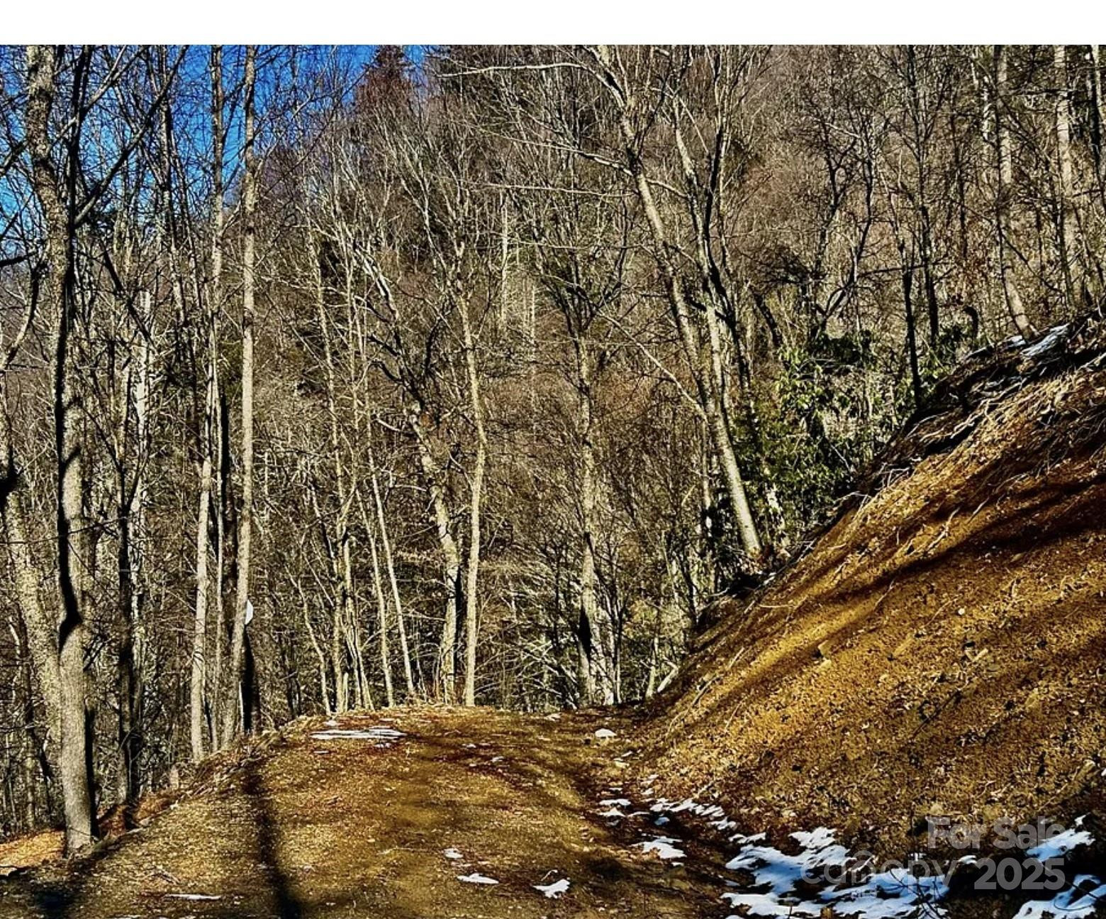 3837 & 3689 Plott Balsam Road - Photo 4