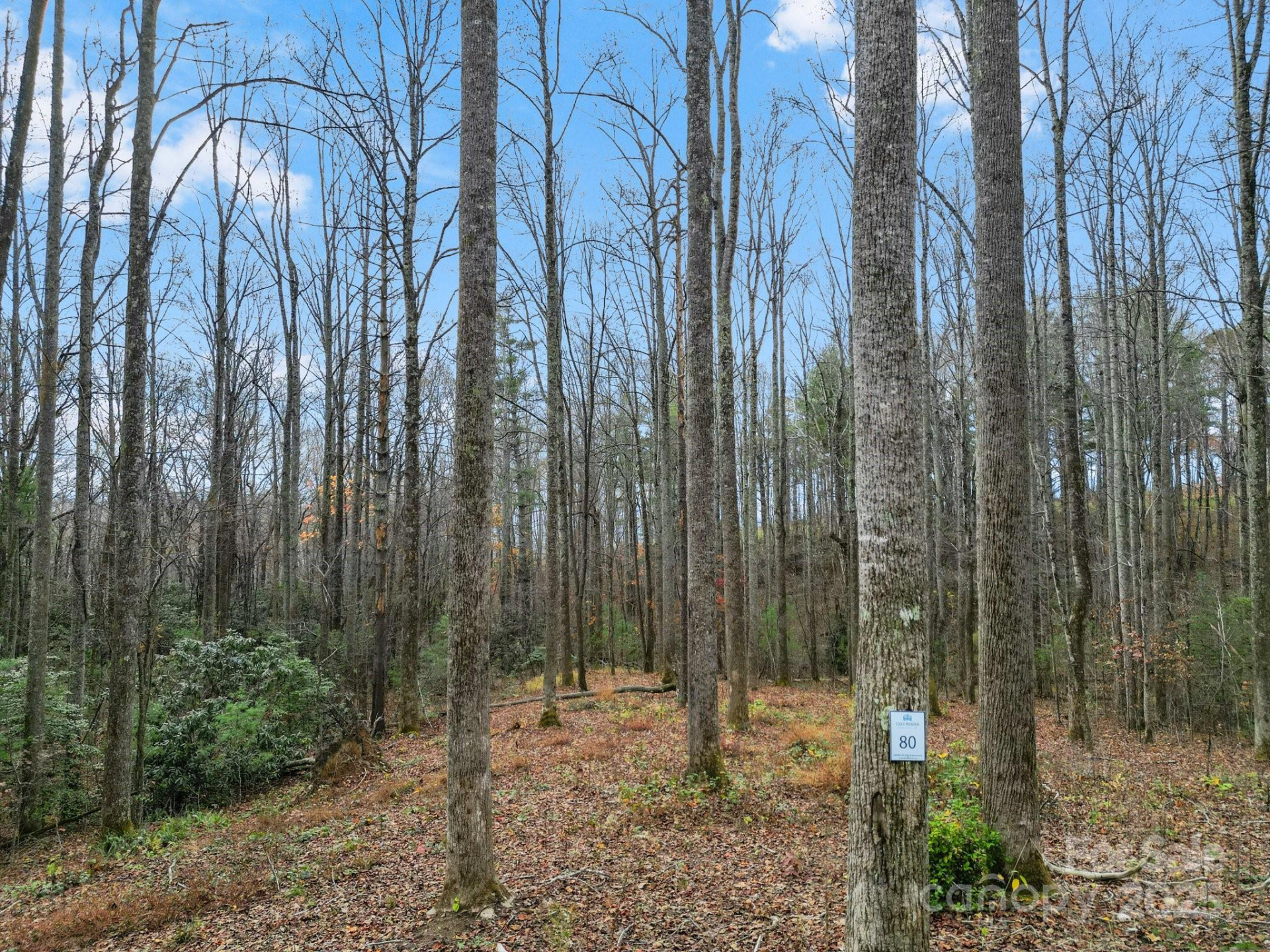 Lot 80 Mountain Grove Lane #Lot 80
