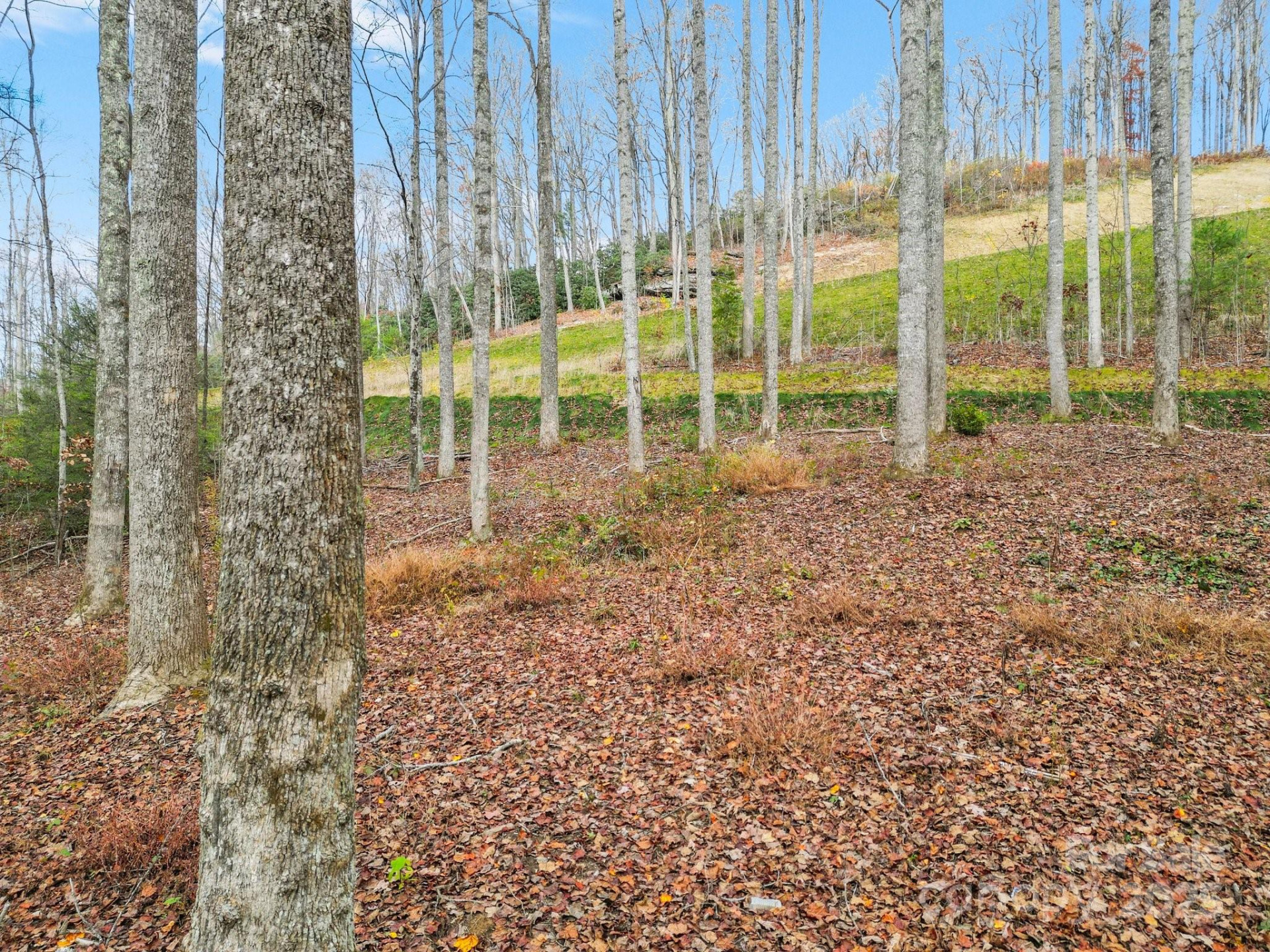 Lot 80 Mountain Grove Lane #Lot 80 - Photo 3