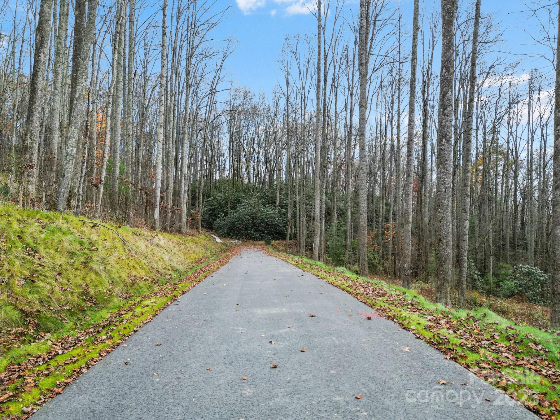 Lot 80 Mountain Grove Lane #Lot 80 - Photo 5