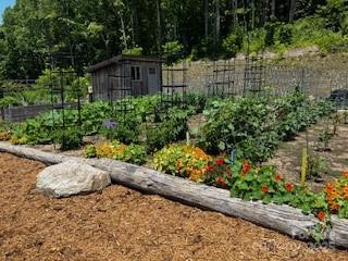 Lot 80 Mountain Grove Lane #Lot 80 - Photo 8