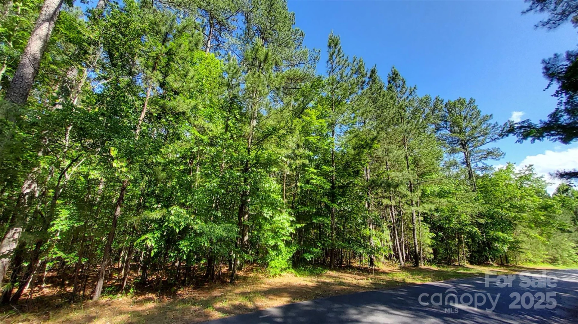 0000 Loblolly Lane #24/23/22 - Photo 11