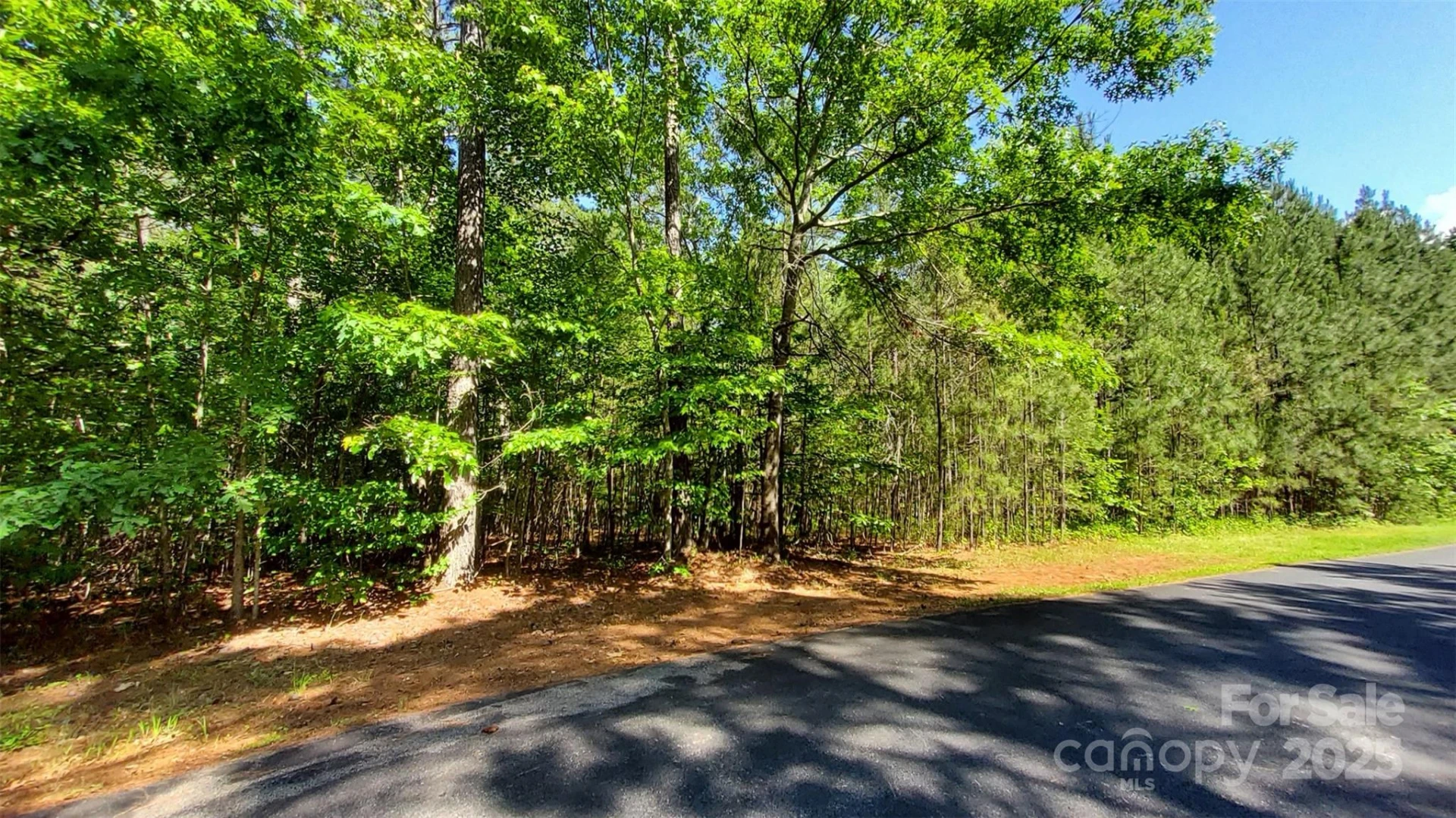 0000 Loblolly Lane #24/23/22 - Photo 12