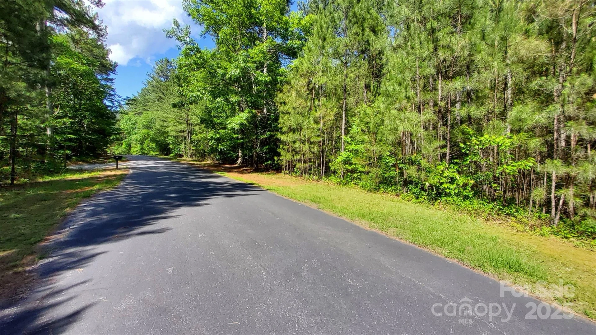 0000 Loblolly Lane #24/23/22 - Photo 13